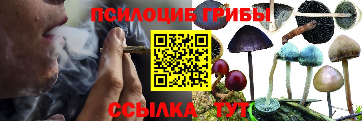 Галлюциногенные грибы мицелий  Вход с VPN  Избербаш  Галлюциногенные грибы Magic Shrooms 